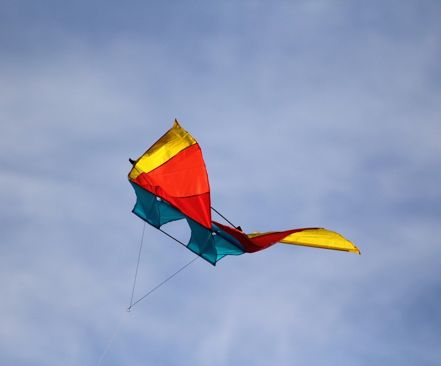 Le combat de cerfvolant qu’en estil vraiment? – carnetdevol.org