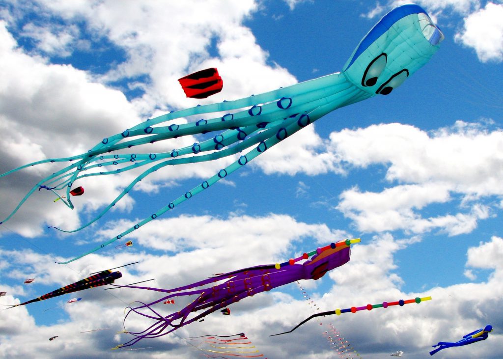 Festival international du cerfvolant à BercksurMer ce qu’il faut