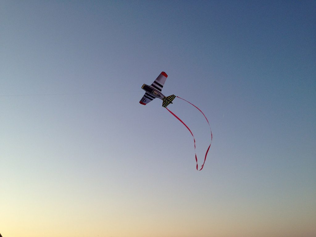 Les cerfsvolants et leur utilisation dans l’armée – carnetdevol.org